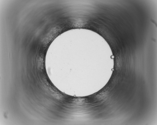 X0000103930497200810031302