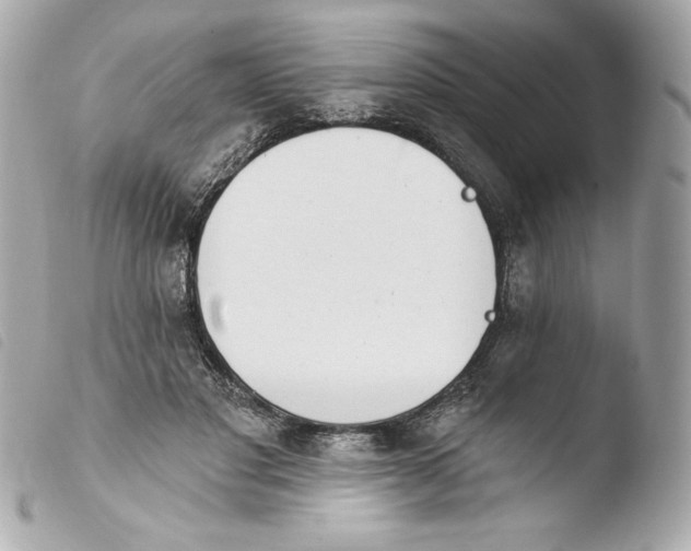 X0000103930501200810031302