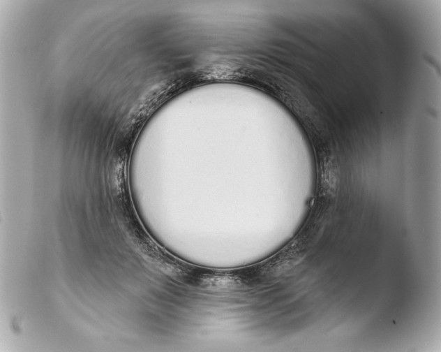 X0000103930503200810031302