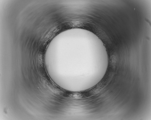 X0000103930506200810031302