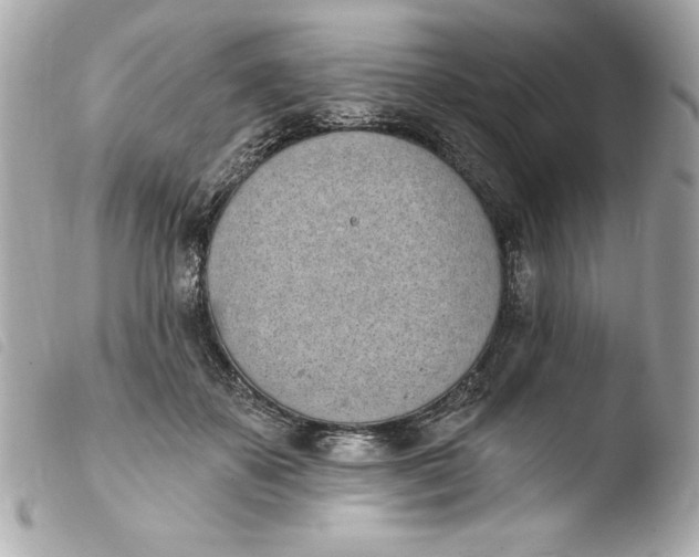 X0000103930507200810031302