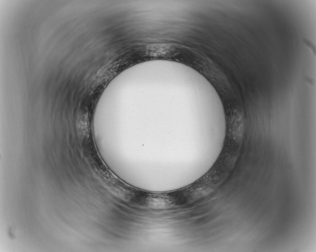 X0000103930510200810031302