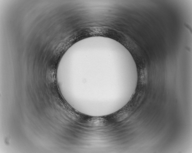 X0000103930514200810031302