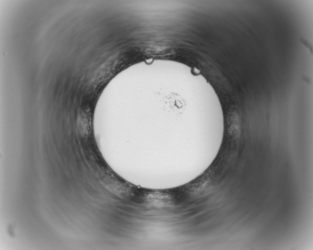 X0000103930515200810031302