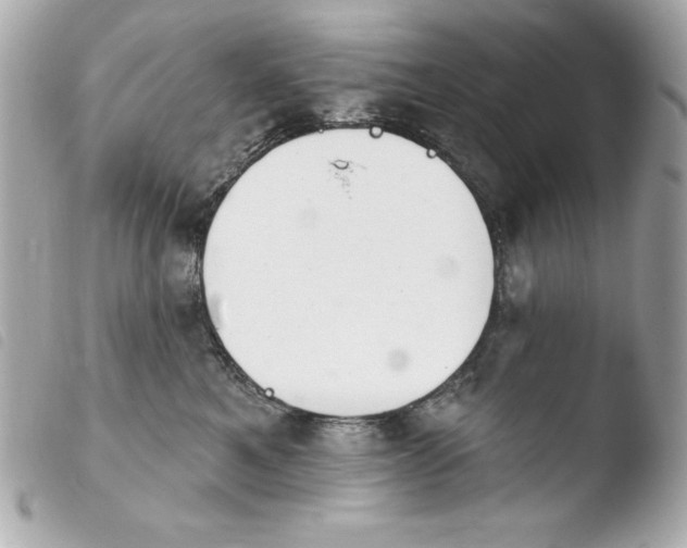 X0000103930521200810031302