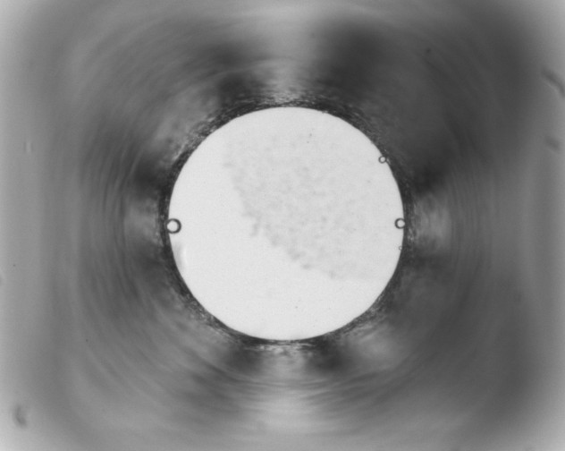 X0000103930524200810031302