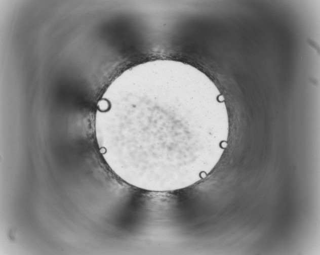 X0000103930528200810031302