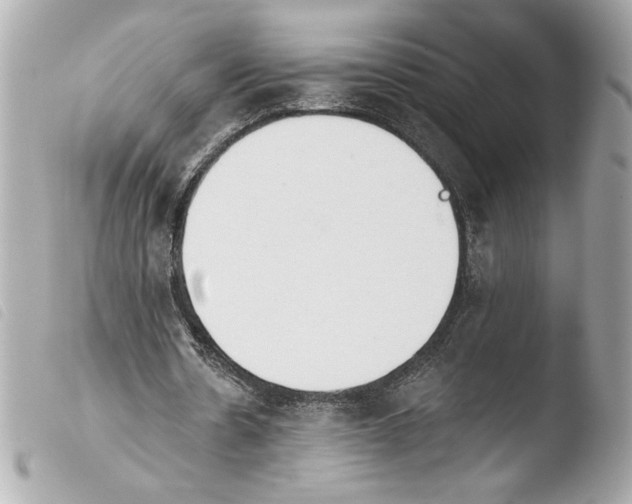 X0000103930530200810031301