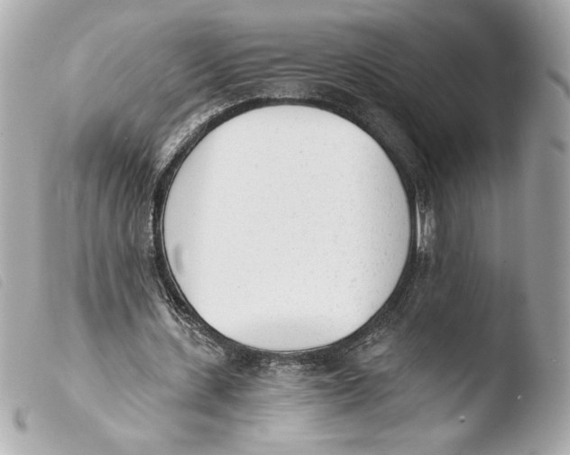 X0000103930531200810031301