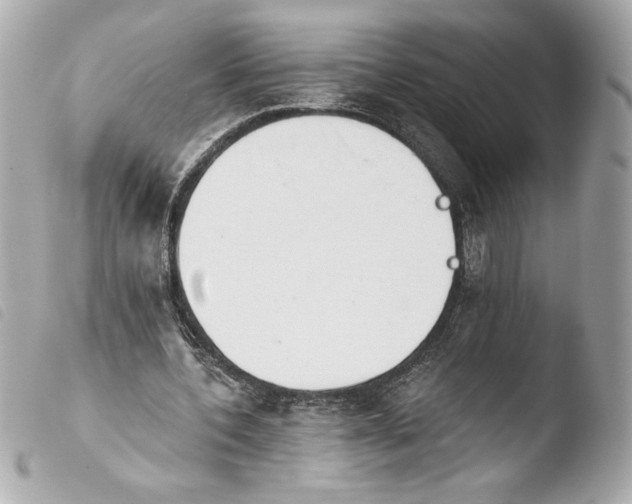 X0000103930532200810031301