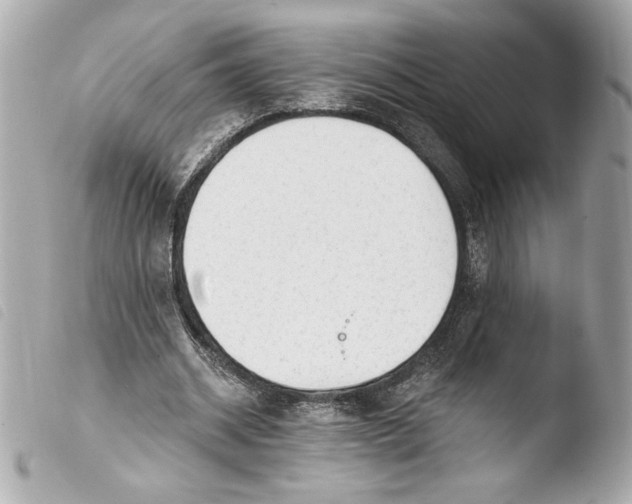 X0000103930534200810031301