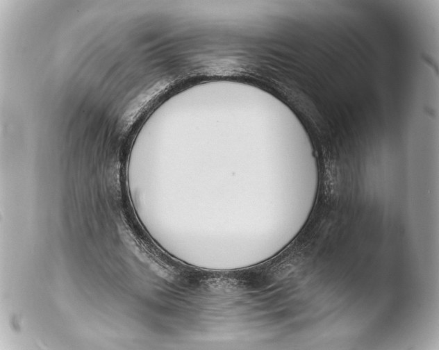 X0000103930535200810031301