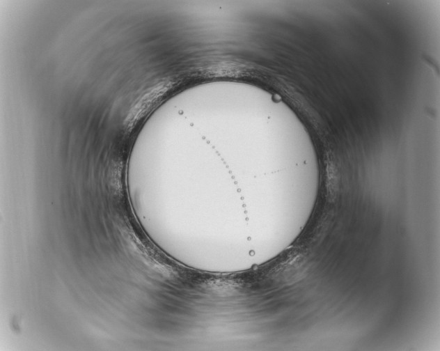 X0000103930537200810031301