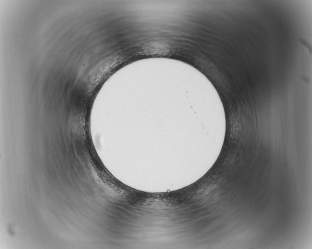 X0000103930538200810031301