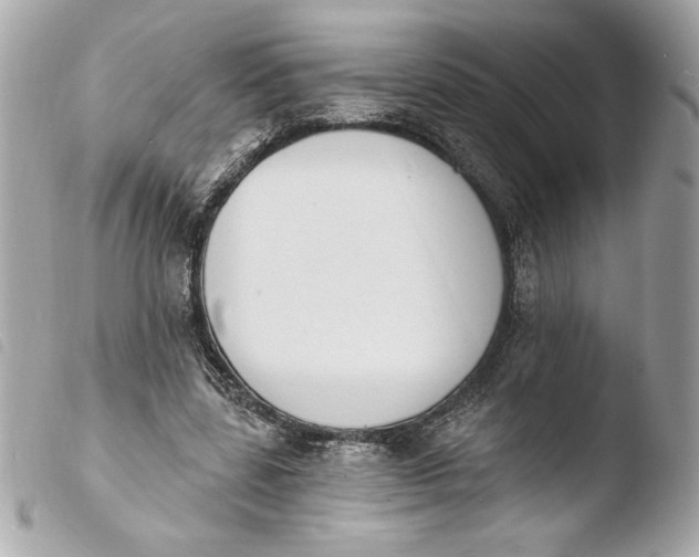 X0000103930539200810031301