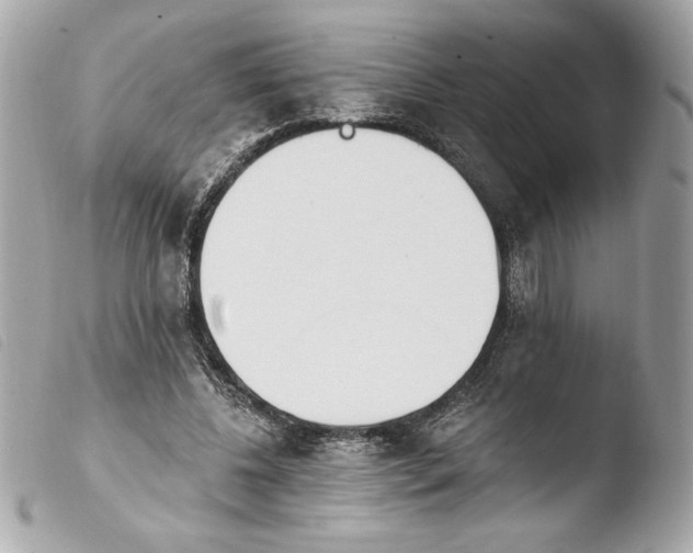 X0000103930540200810031301