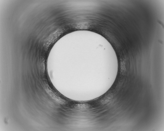 X0000103930541200810031301