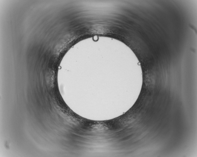 X0000103930544200810031301