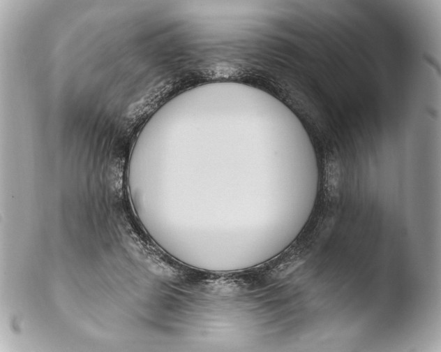 X0000103930545200810031301