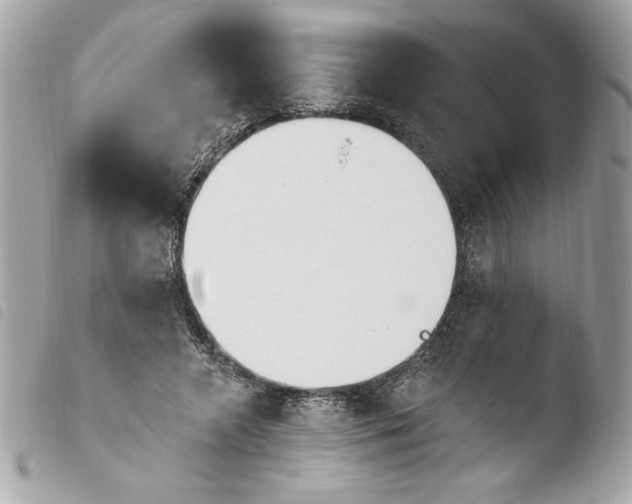 X0000103930546200810031301
