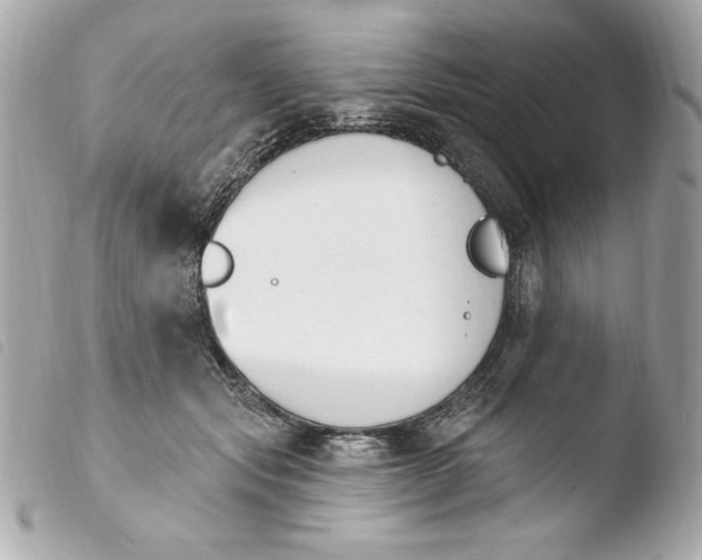 X0000103930557200810031302