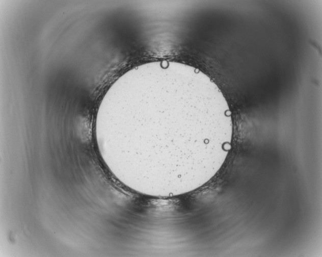 X0000103930558200810031302