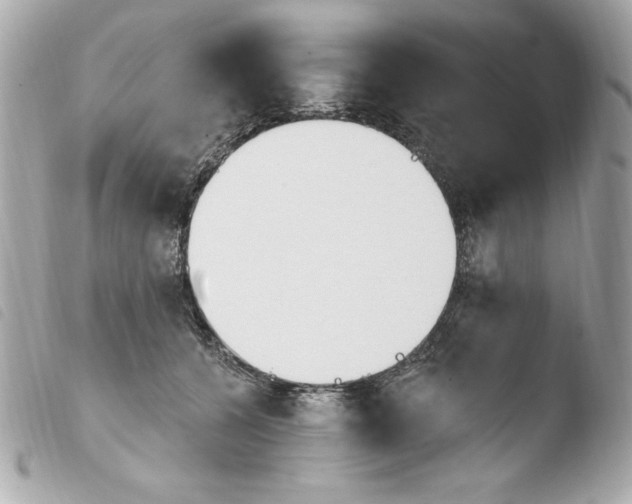 X0000103930560200810031302