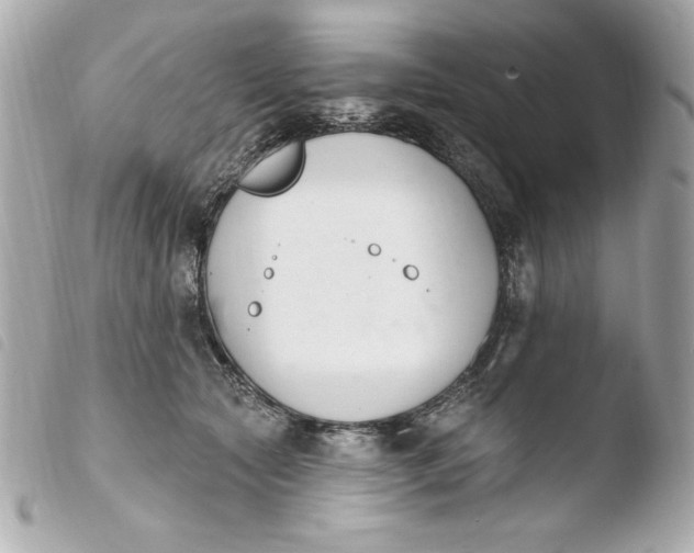 X0000103930561200810031302