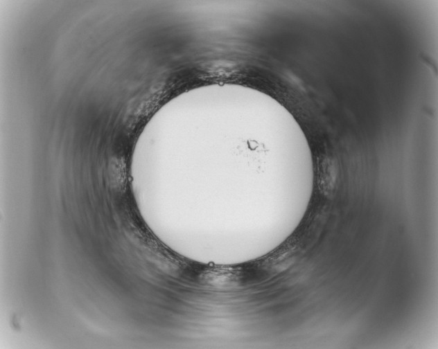 X0000103930563200810031302