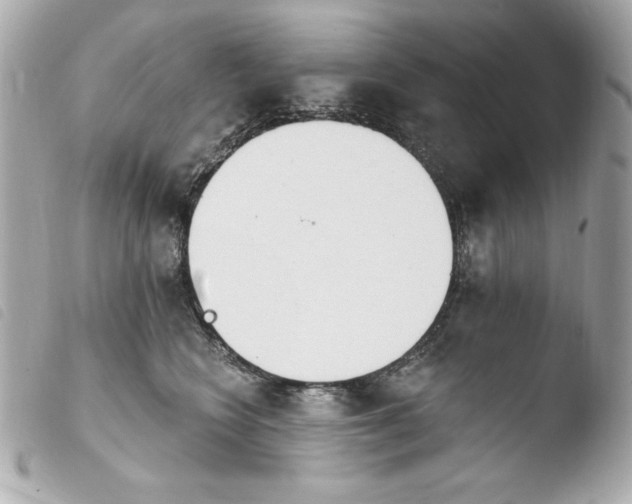 X0000103930566200810031302