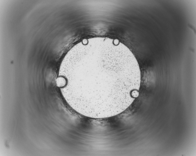 X0000103930568200810031302