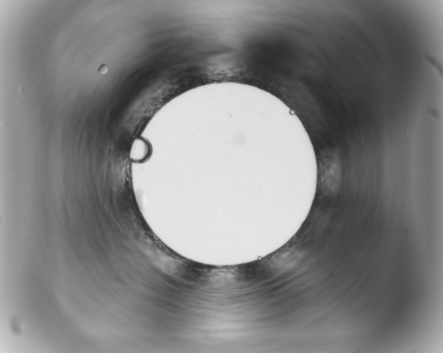 X0000103930574200810031302