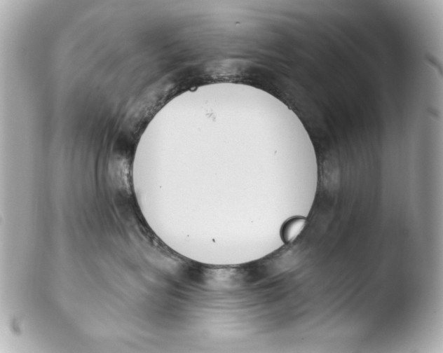 X0000103930575200810031302