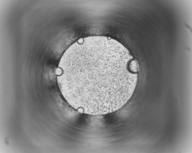 X0000103930576200810031302