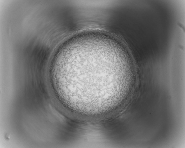 X0000103930579200810031301