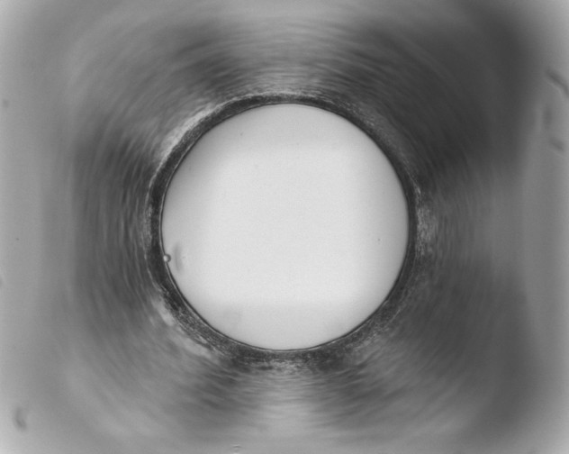 X0000103930580200810031301