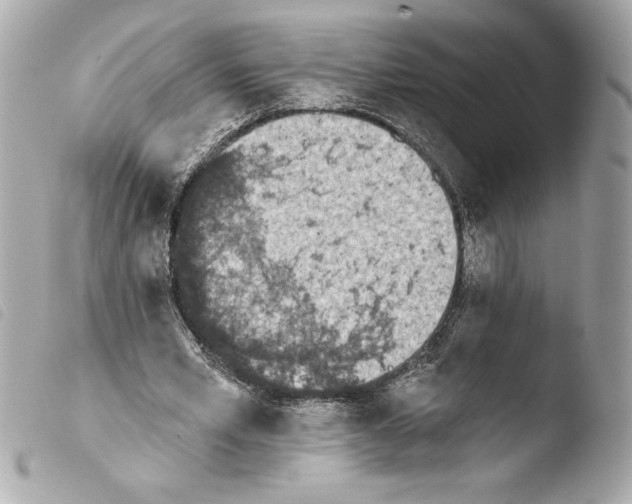 X0000103930581200810031301