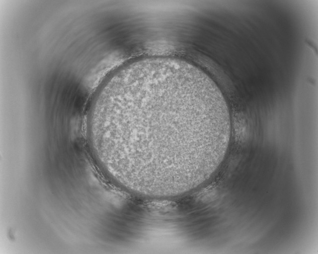 X0000103930583200810031301