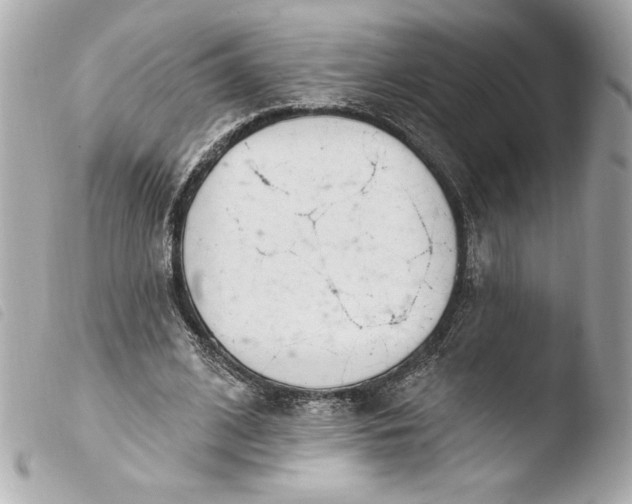 X0000103930584200810031301