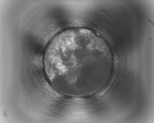 X0000103930585200810031301