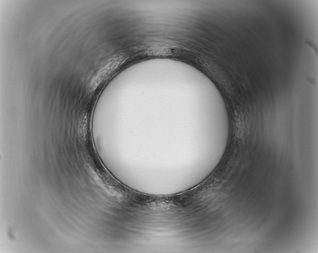 X0000103930586200810031301
