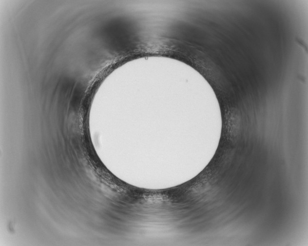 X0000103930587200810031301