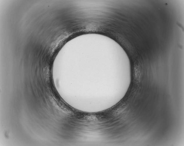 X0000103930588200810031301