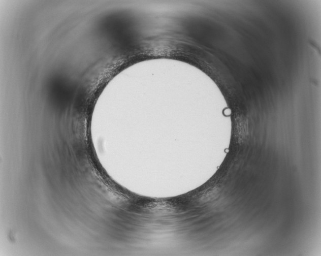 X0000103930589200810031301