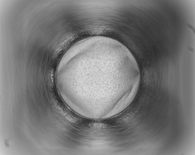 X0000103930590200810031301