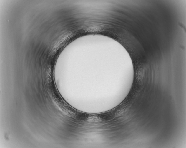 X0000103930591200810031301
