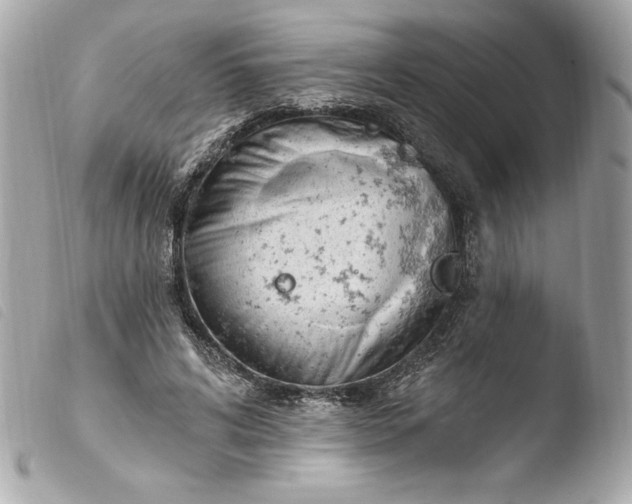 X0000103930592200810031301