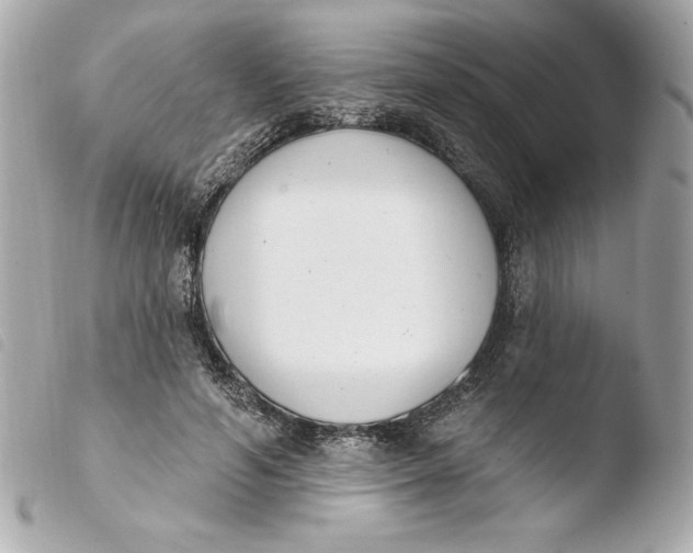 X0000103930594200810031301