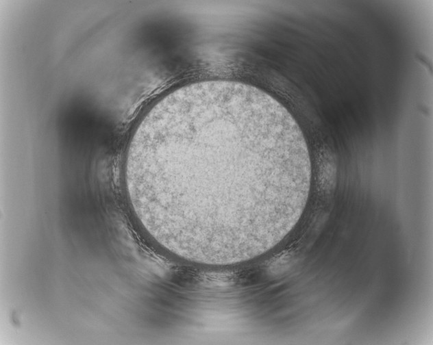 X0000103930595200810031301