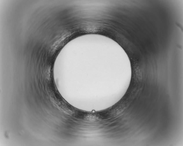 X0000103930596200810031301
